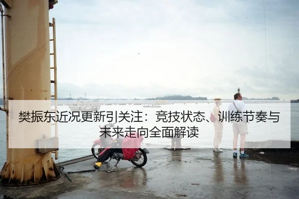 樊振东近况更新引关注：竞技状态、训练节奏与未来走向全面解读