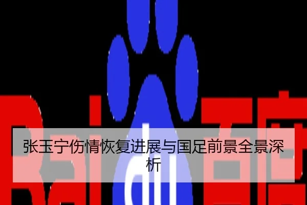 张玉宁伤情恢复进展与国足前景全景深析