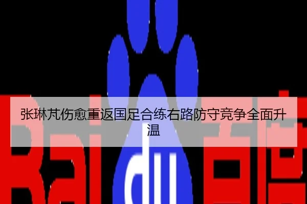张琳芃伤愈重返国足合练右路防守竞争全面升温